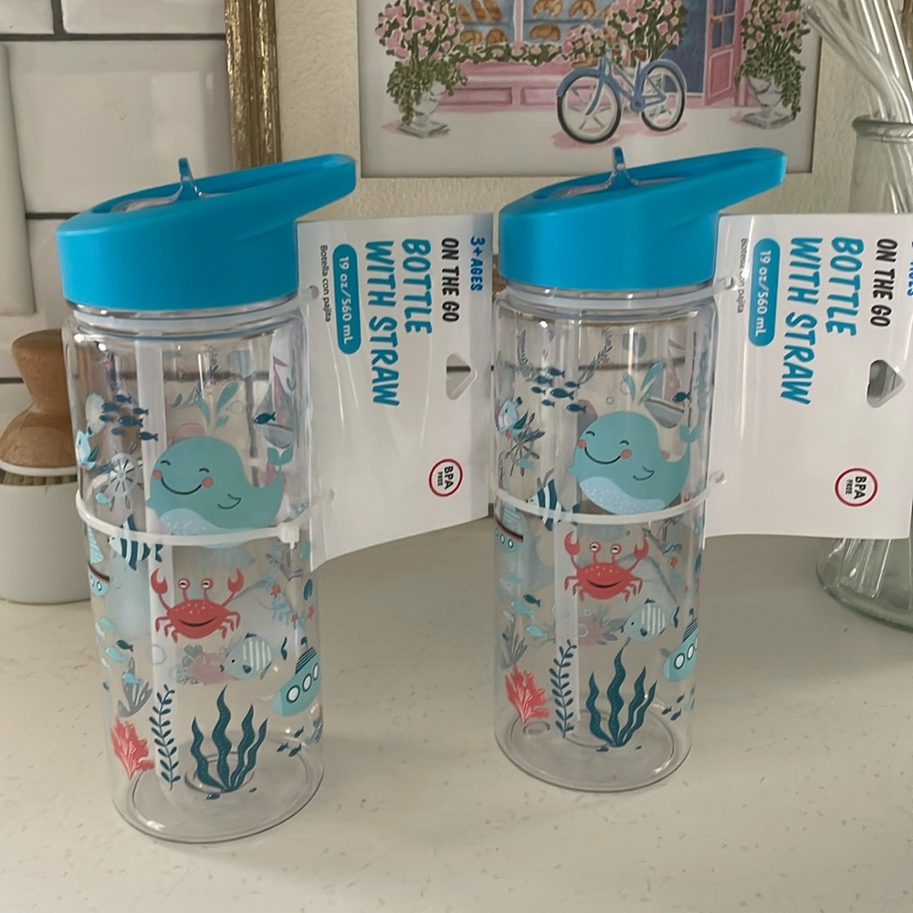 Set of 2 Bottles with Straws 19 oz